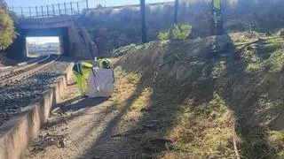 Adif limpia más terrenos ferroviarios en Alicante tras reclamarlo los vecinos