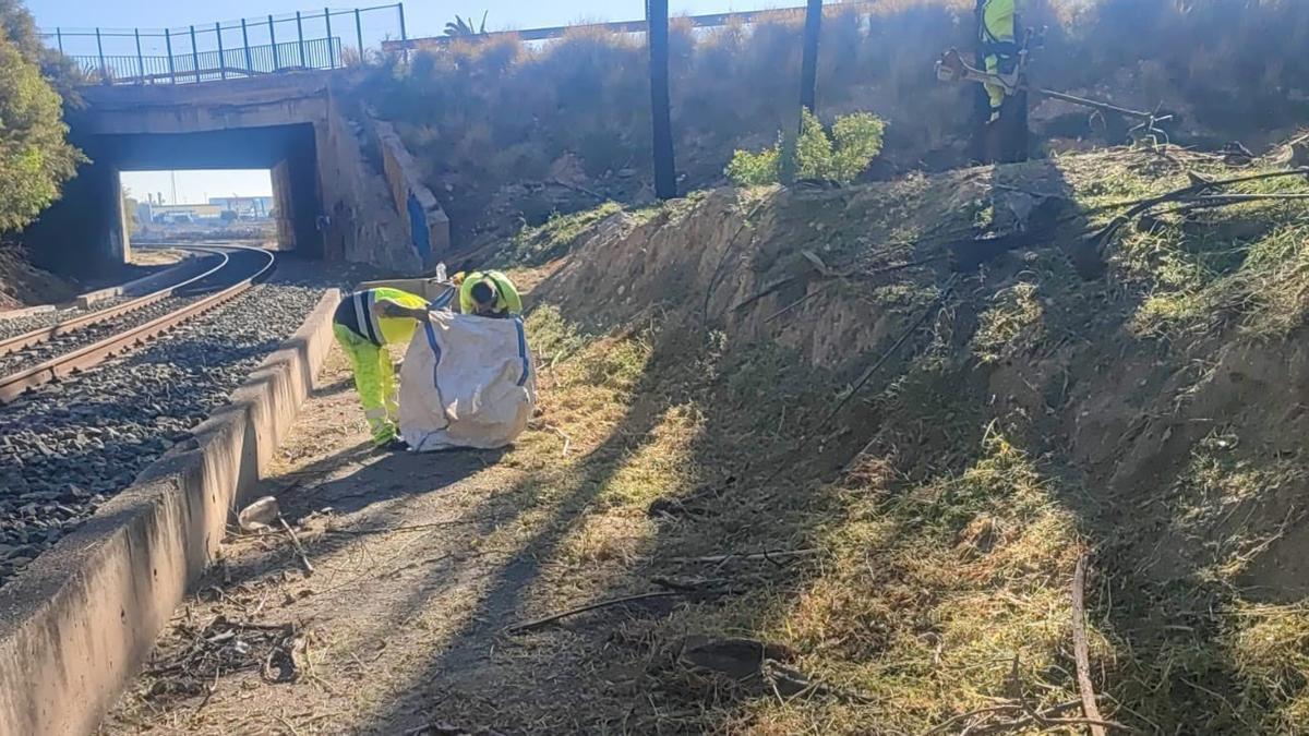 Operarios realizando labores de desbroce junto al trazado ferroviario a su paso por San Gabriel