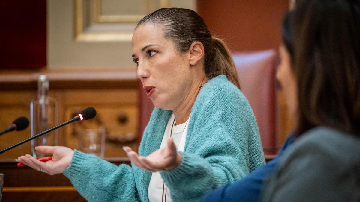 Patricia Hernández, portavoz del PSOE en Santa Cruz.
