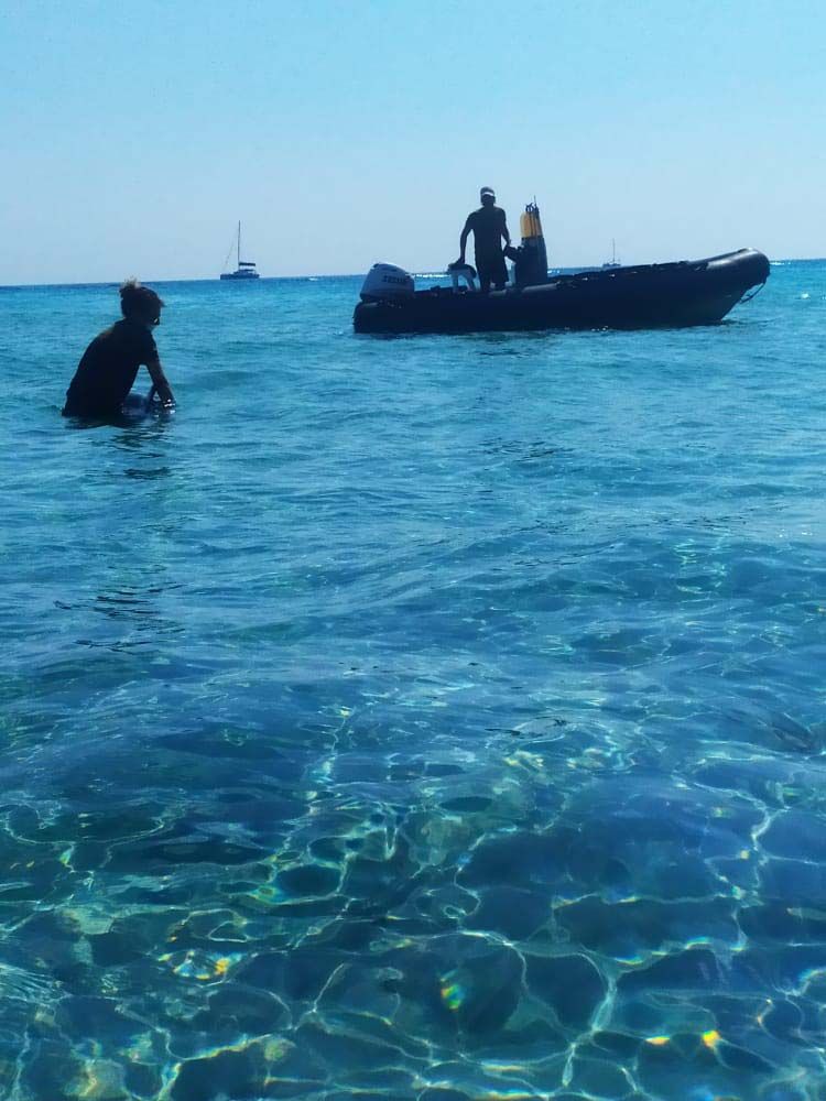 Intentan rescatar a un delfin despitado en la playa de Llevant en Formentera