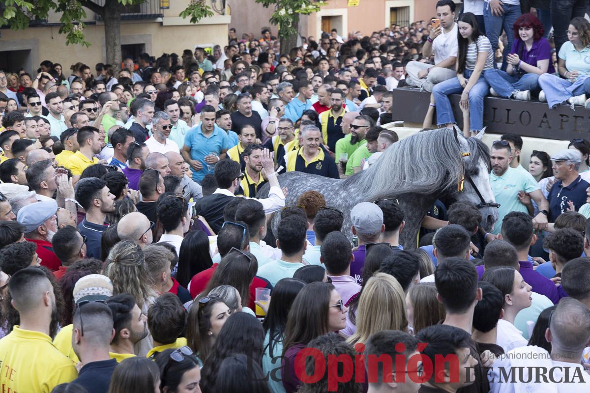 Fiestas de Caravaca | Entrega de premios del concurso morfológico