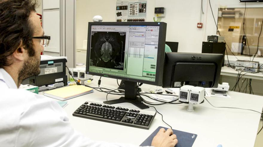 Un investigador en el Instituto de Neurociencias.