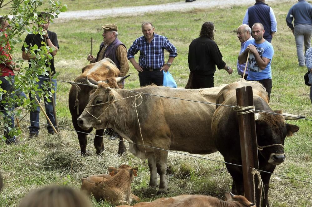 Feria de La Ascensión en Olloniego