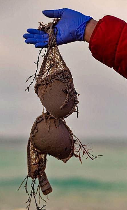 La vergüenza que trae el mar