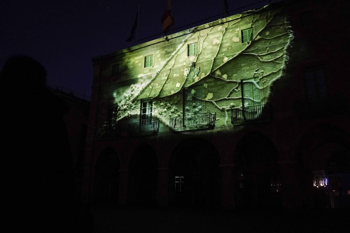 Les millors imatges dels Jardins de Llum de Manresa 2026