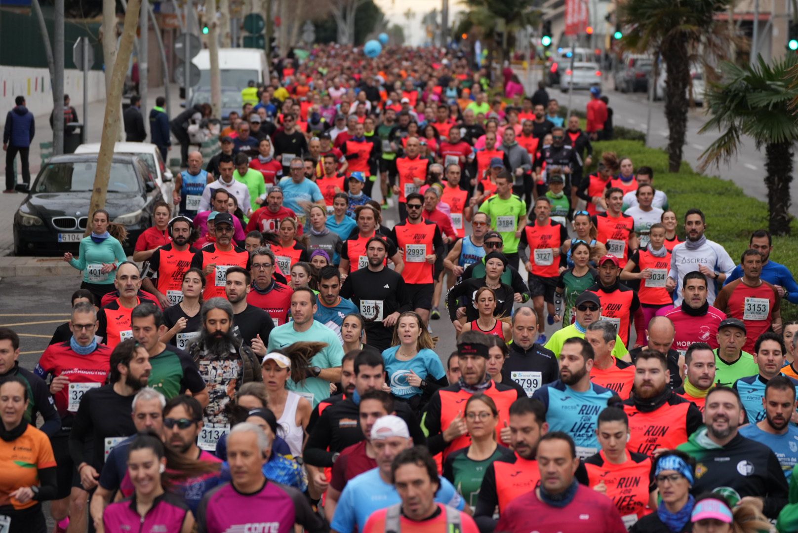 Búscate en las fotos: Las mejores imágenes del Marató bp y el 10K Facsa 2024 de Castelló