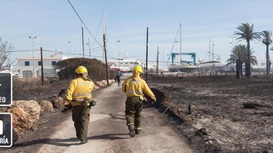 El incendio de ses Feixes arrasó ocho hectáreas de humedal en sólo dos horas