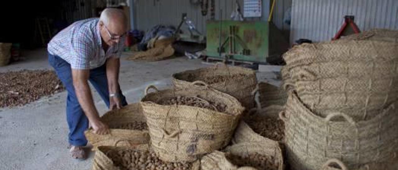 El precio de la almendra sube un 40% por el aumento del consumo internacional