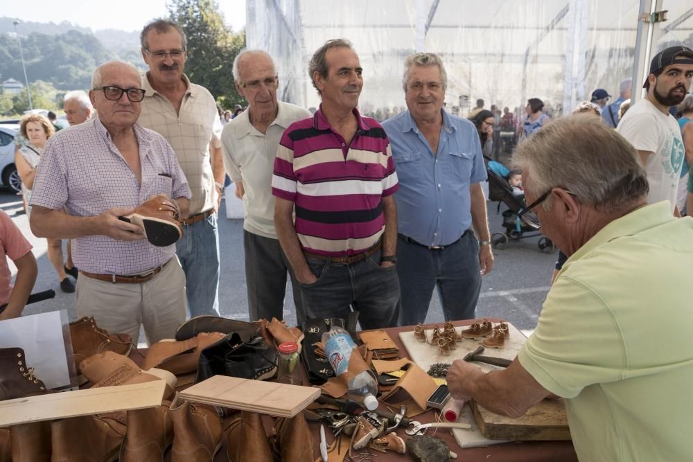 La Festa da Sidra de la parroquia viguesa rompe todas la previsiones, con más de 5.000 asistentes, 1.200 litros del brebaje despachados y 6.000 botellas vendidas. El ANPA Bene Vivere, manzana de oro.