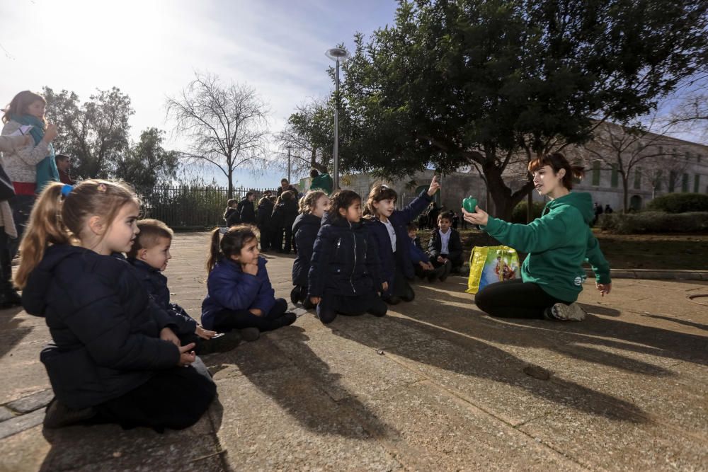 Lección verde  en es Rafal y el Vivero