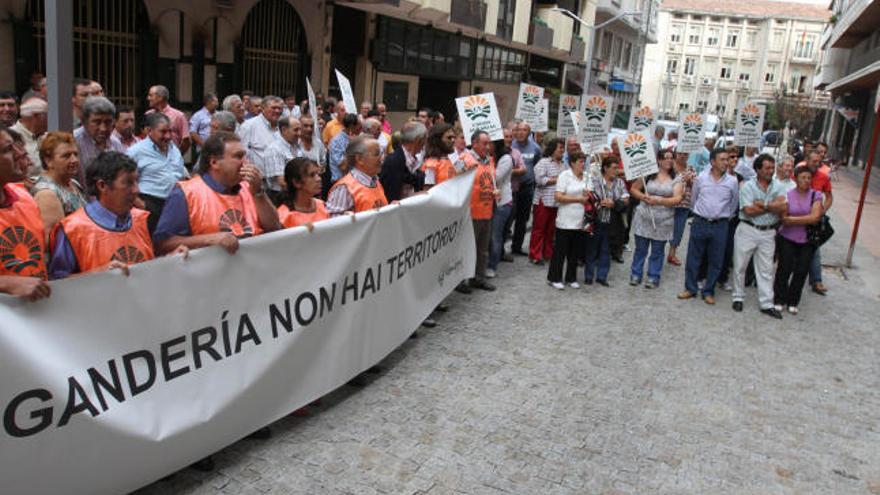 El grupo de manifestantes ante la delegación ourensana de Medio Rural.  // Iñaki Osorio