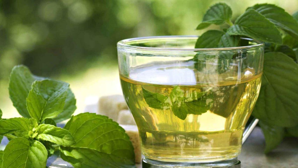 Salud: El motivo por el que debes tomar té verde en ayunas para ayudar al  organismo