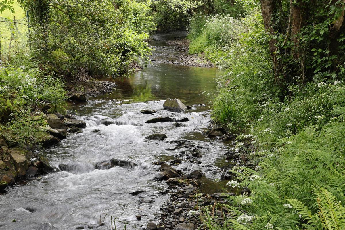 Río Sar ao seu paso por Santiago