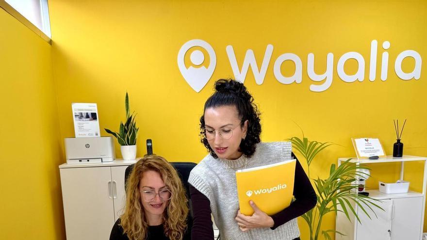 Wayalia Tenerife Meets Canary Islands' Rising Home Care Demand