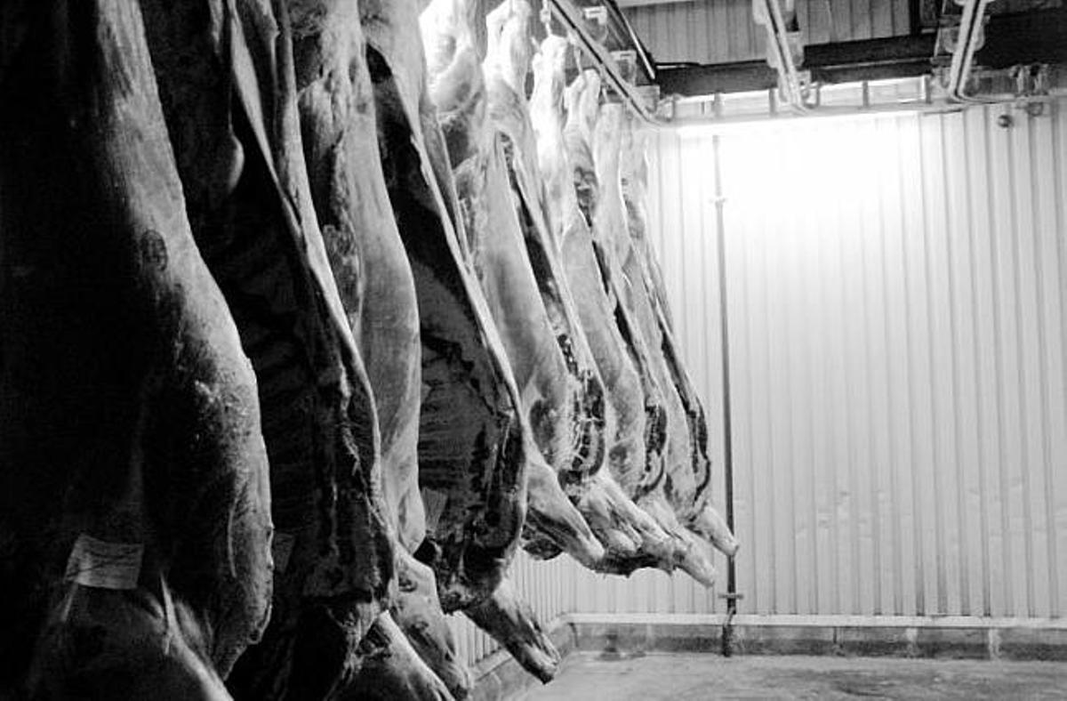 El matadero que despiezó la mancomunidad