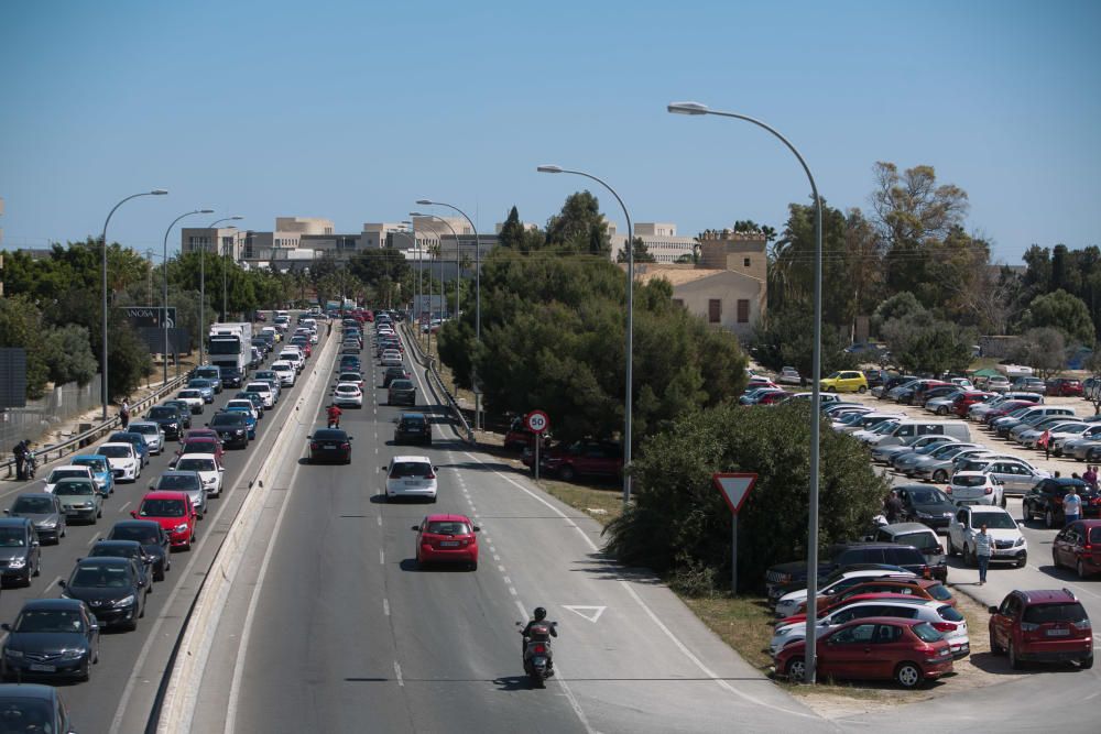 Miles de personas en el domingo de Santa Faz