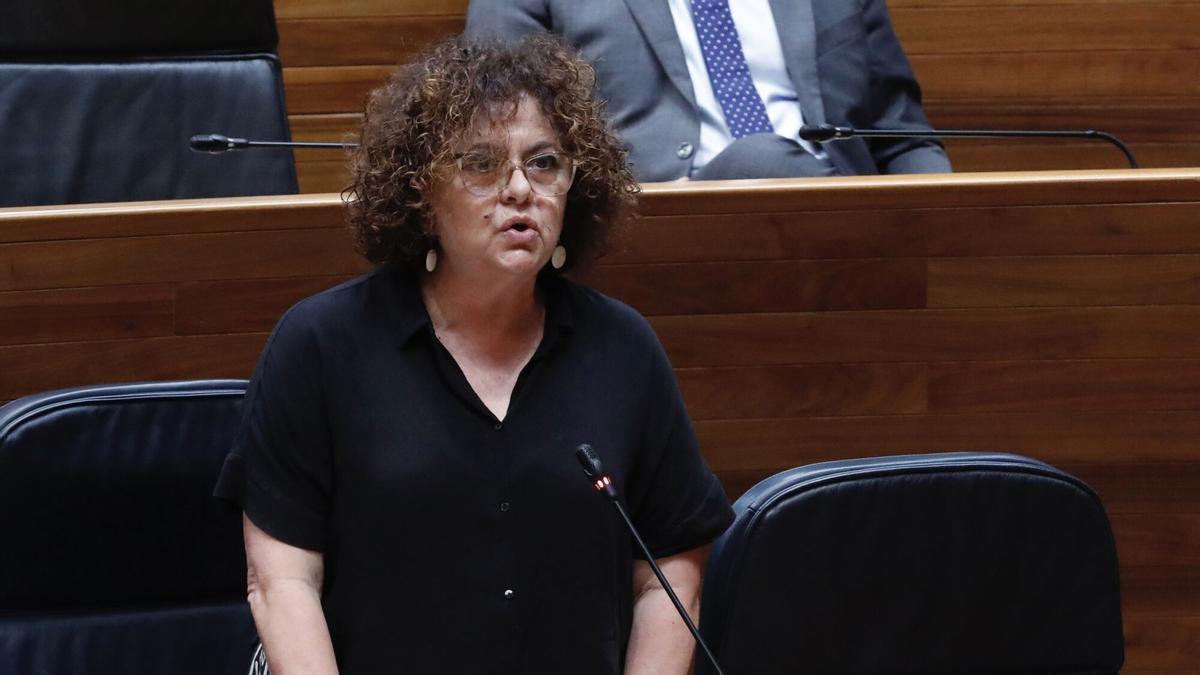 La consejera de Derechos Sociales y Bienestar, Marta del Arco, en el Pleno de la Junta.