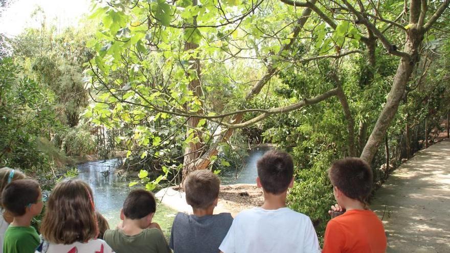 Niños asisten a una actividad sobre el agua en Natura Parc.