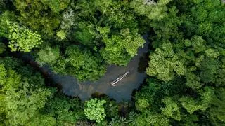 El cambio climático fue el principal impulsor de la sequía en la Amazonía en 2023