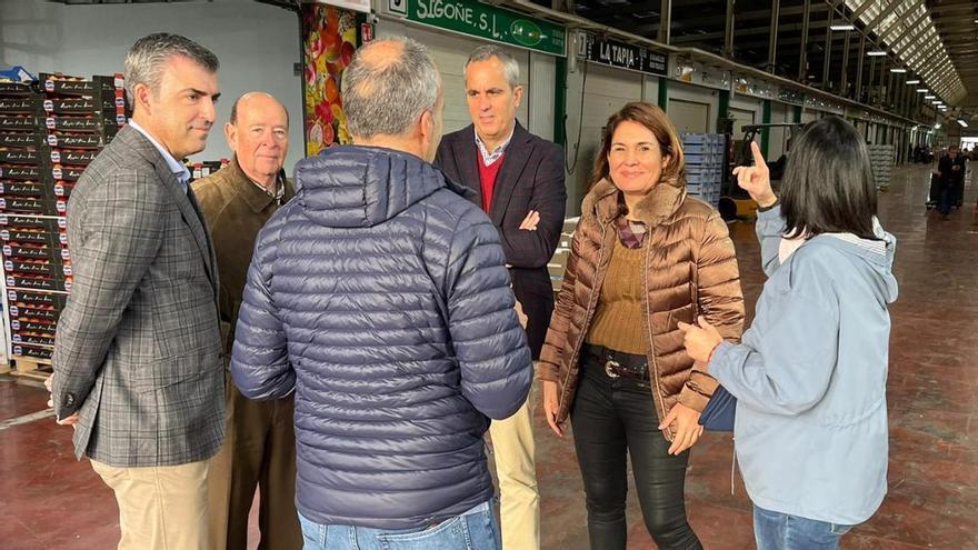 El PP canario presenta a Feijóo sus programas municipales y la política de pactos tras el 28-M