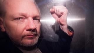 Caso Assange: Denuncian red de espionaje en la Embajada de Ecuador