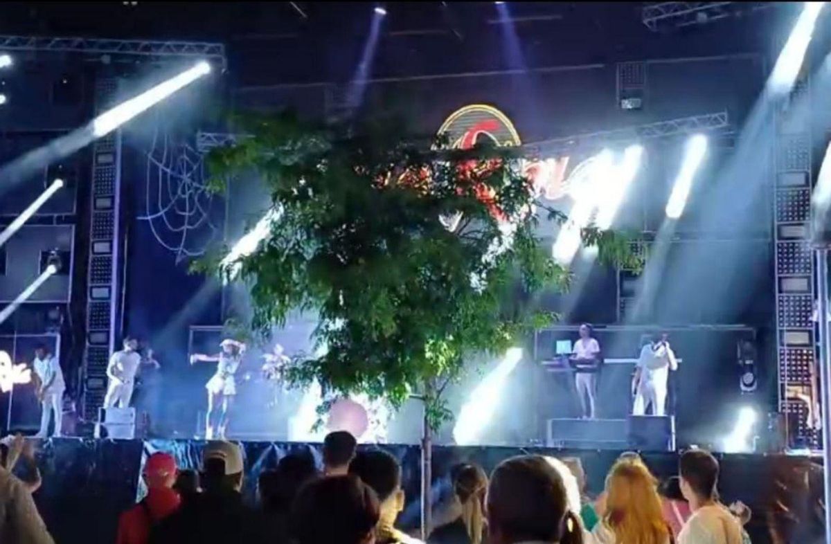 El árbol de la Porta do Sol,
impidiendo la visión.