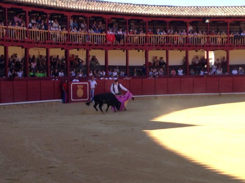 Fiestas en Toro | Becerrada de las peñas