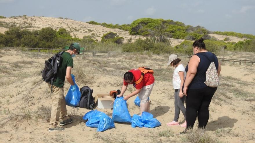 Algunos de los voluntarios acopiando los restos recogidos de playas y dunas (archivo 2021). / AYUNTAMIENTO DE ELCHE.