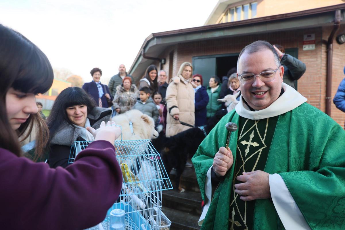 La bendición de animales en La Magdalena, en imágenes