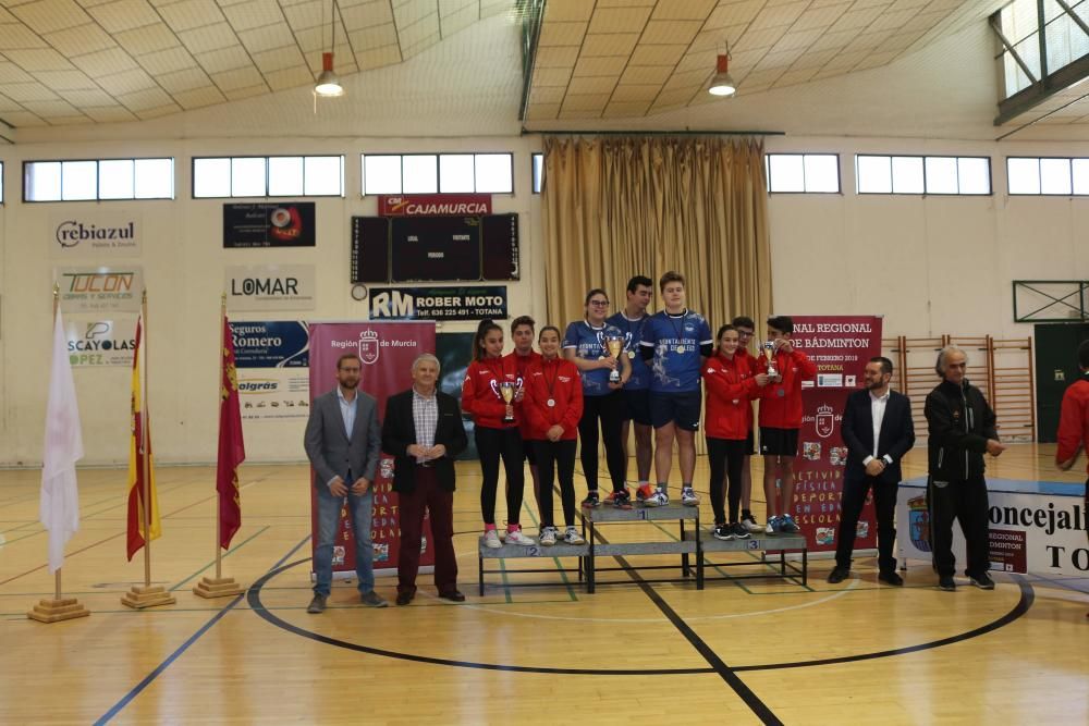 Final Regional de bádminton de Deporte Escolar