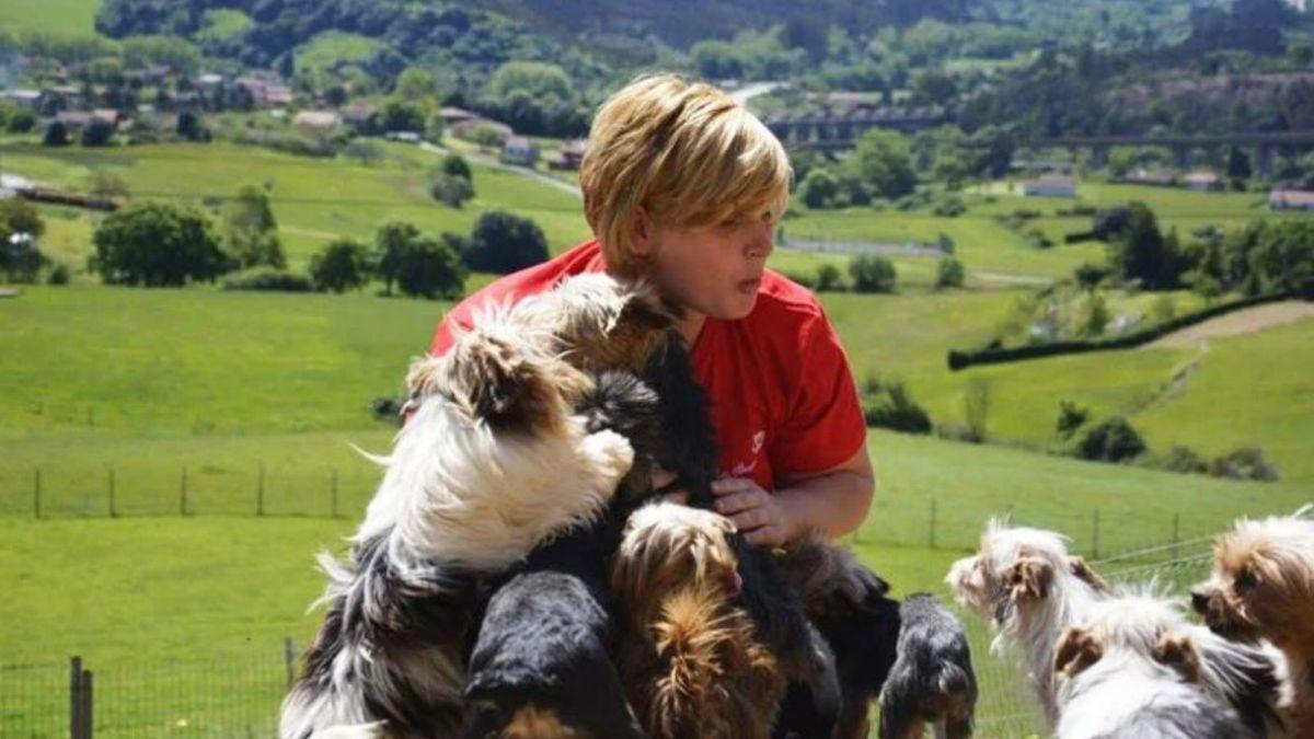 Varios perros, con una cuidadora, en un hotel canino de Llanera