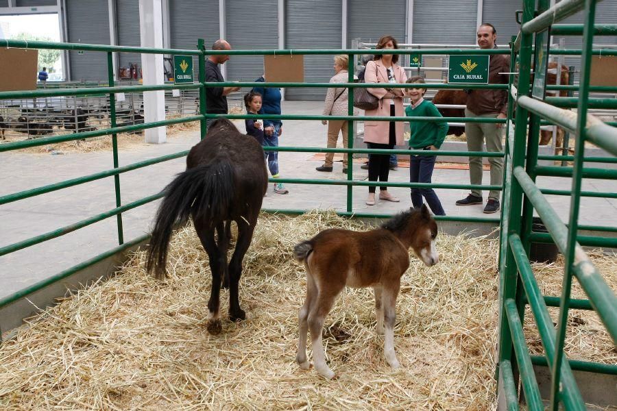 I Feria Raíces Zamora-Rural