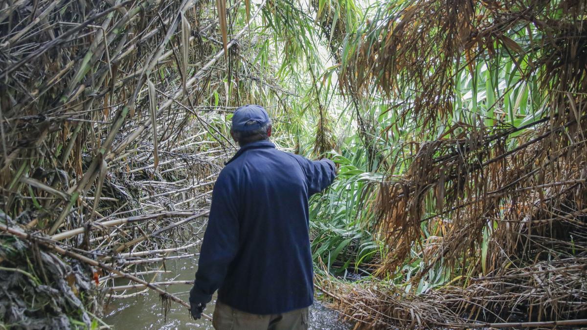 El propietario de la finca del Marco señala el estado de abandono del cauce.