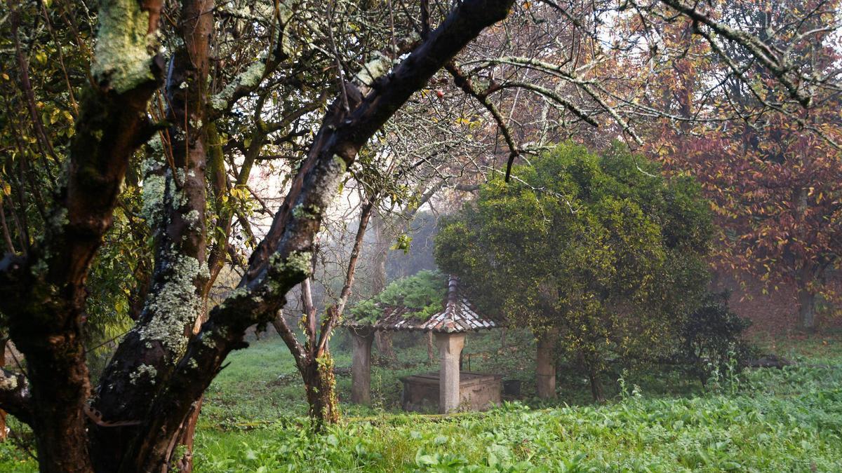 Jardín del convento de Santa Clara.