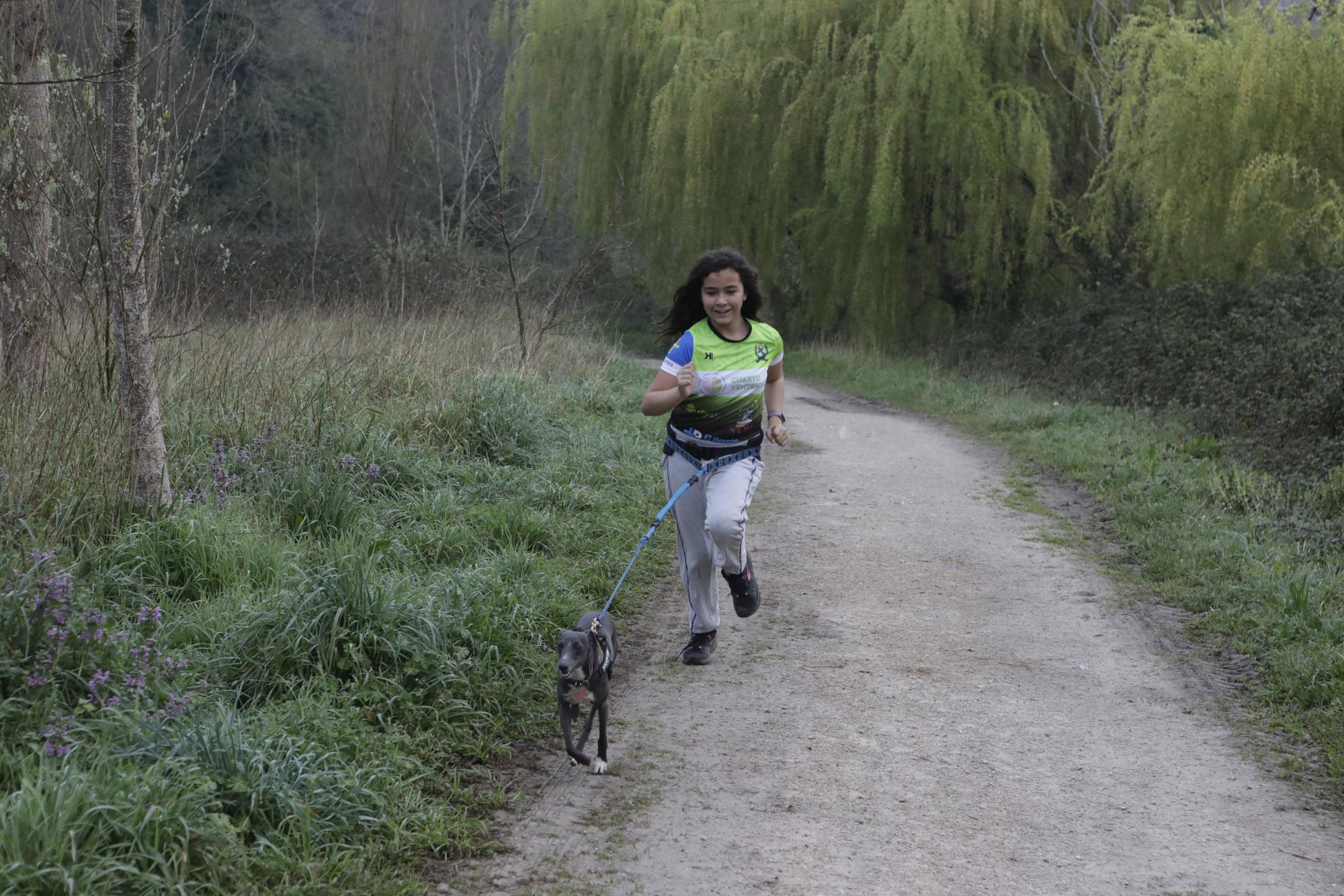 Los corredores del Celtastur de Llanera y sus perros preparan el Mundial en La Morgal: cuatro de sus integrantes estarán en la cita de Plédran (Francia)