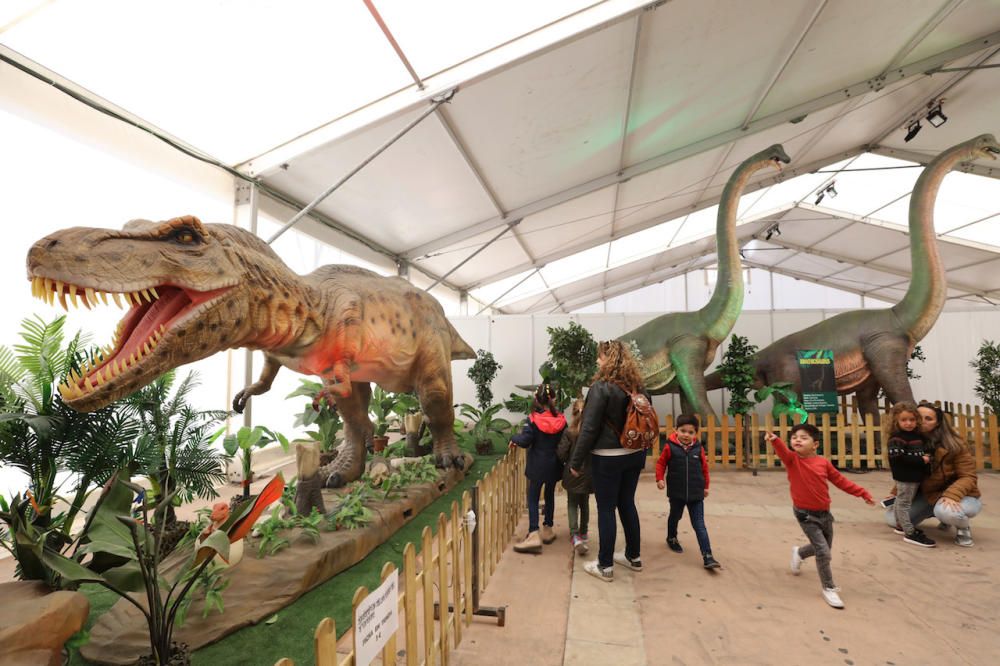 Así fue la exposición 'Dinosaurs Tour', que llegará a Mallorca, durante su paso por Ibiza