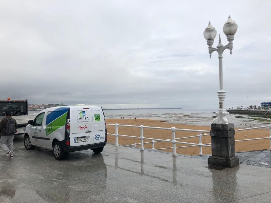 San Lorenzo amanece con ratas y una nueva mancha marrón