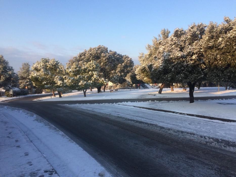 Paisatge matinal nevat a la Catalunya Central