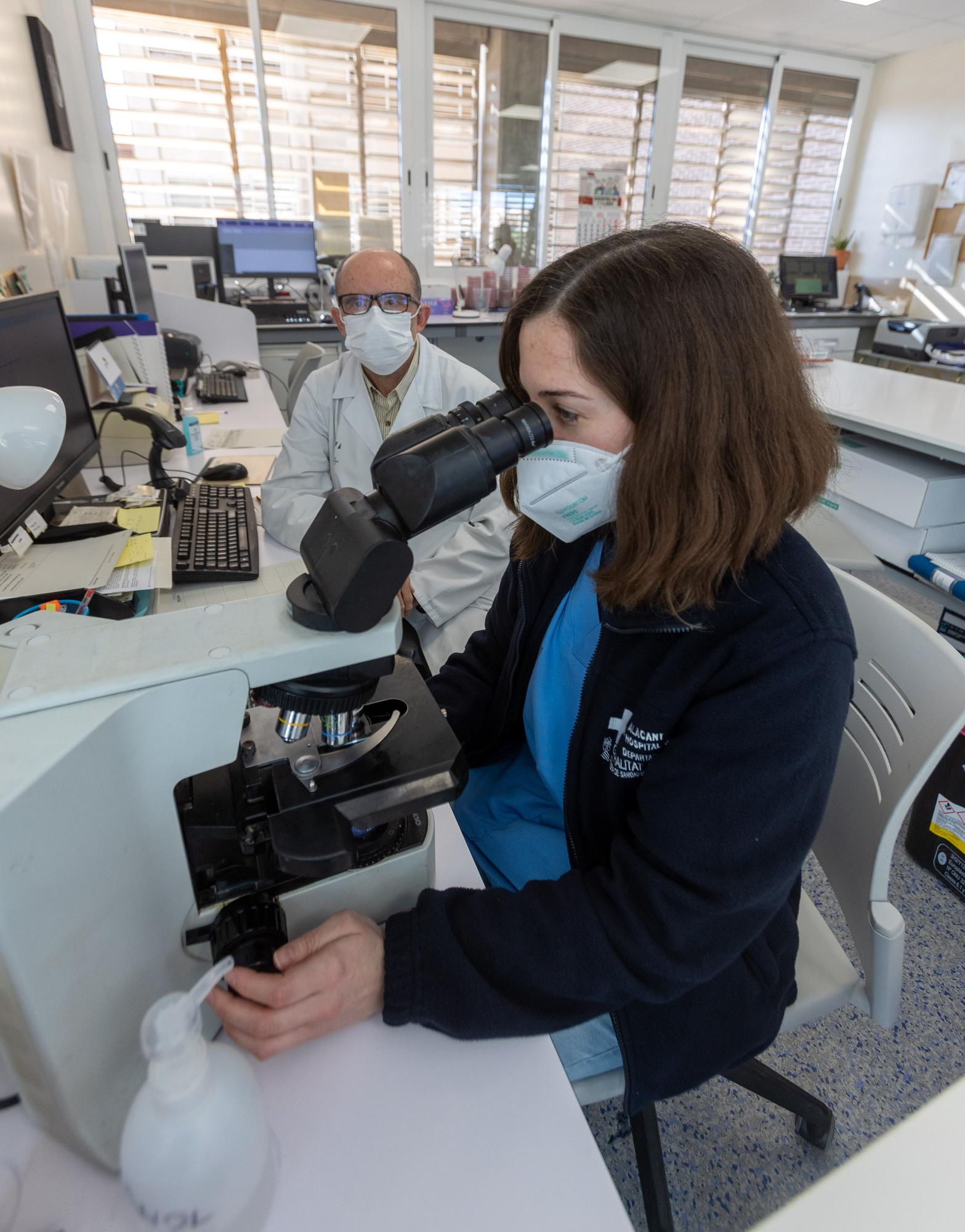 Investigación en virus y bacterias