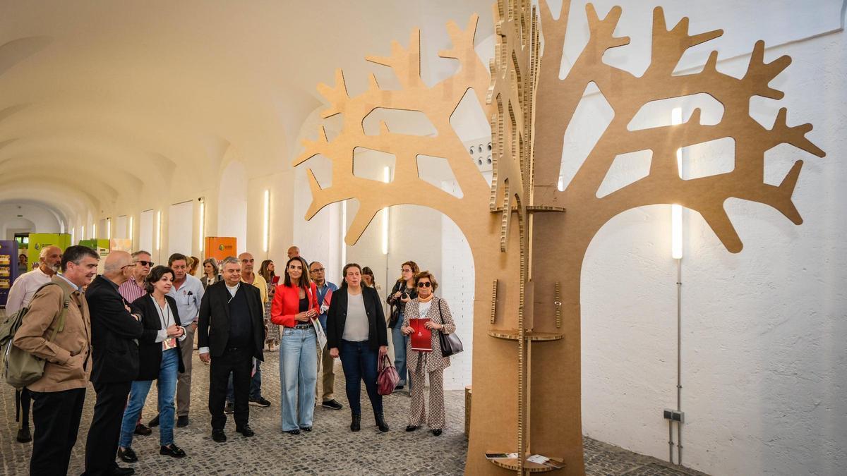 «La Iglesia abraza la ecología integral»