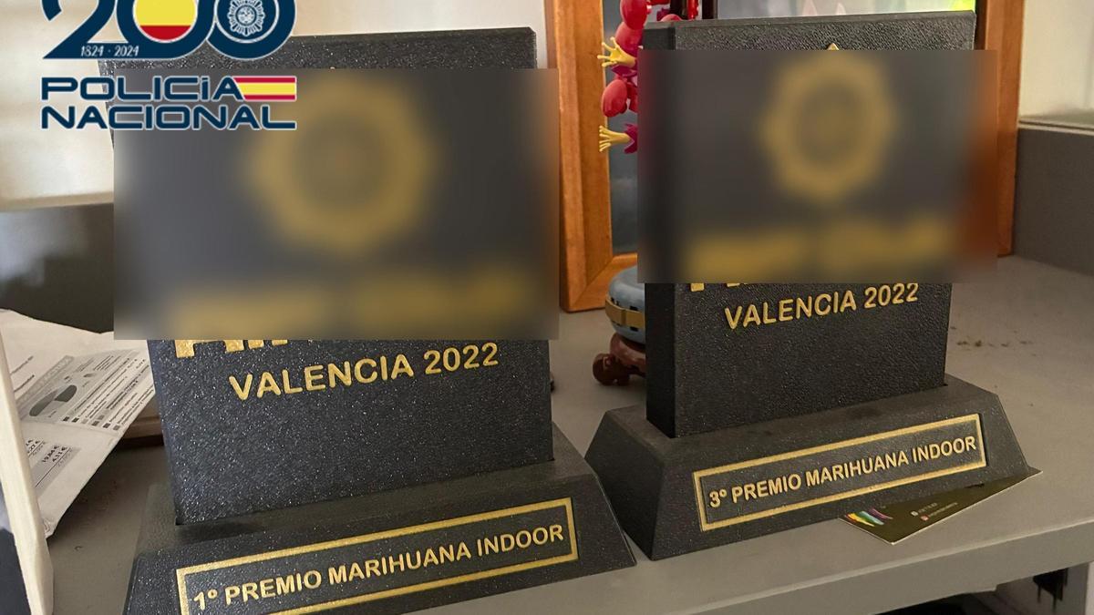Premios otorgados a la mejor marihuana 'indoor' a la plantación desmantelada en Nàquera.