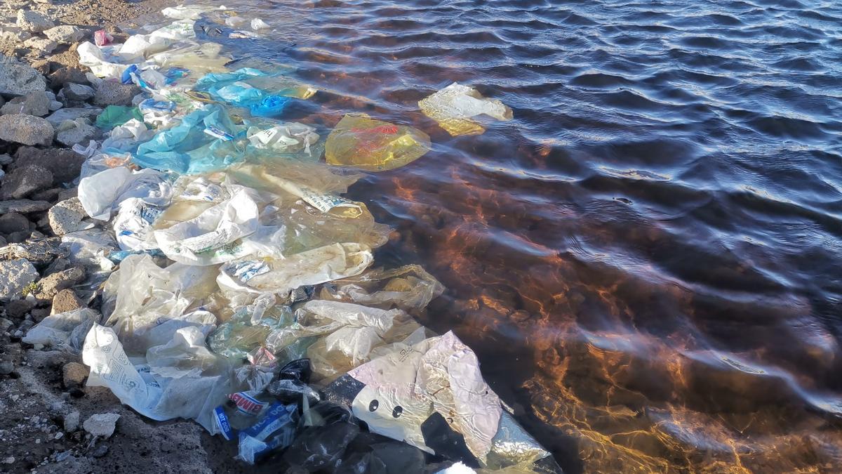 Acumulación de bolsas de plástico en uno de los embalses de la zona de Arico.