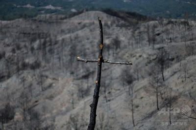 Les mirades més artístiques al Bosc de les creus