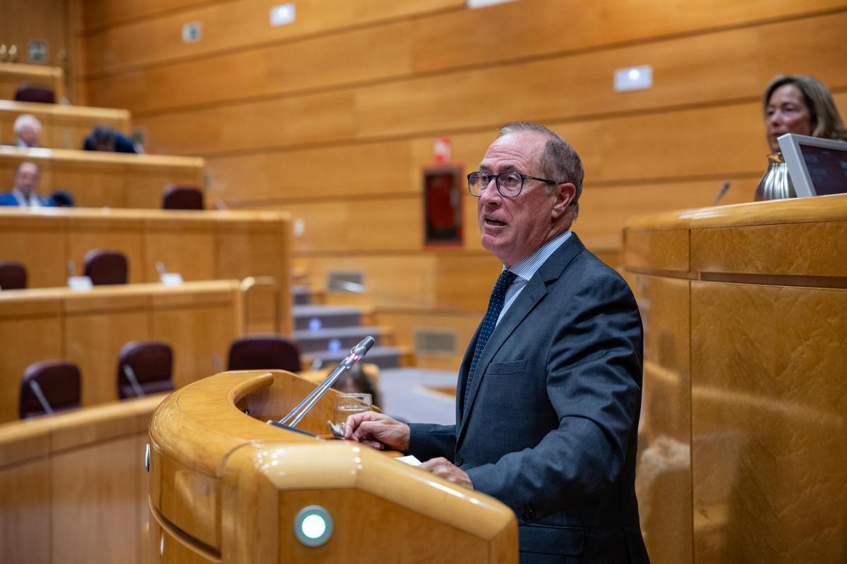 El conseller Juan Manuel Lafuente durante su intervención en el Senado.