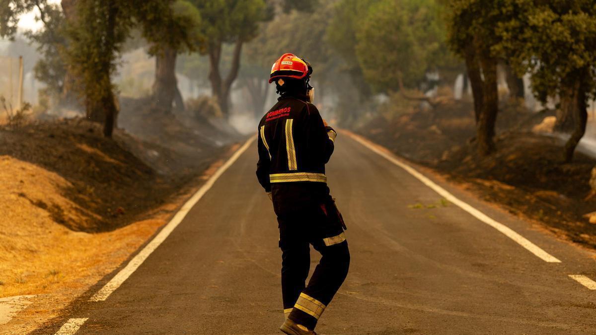 Un bombero trabaja en las labores de extinción de un incendio forestal.