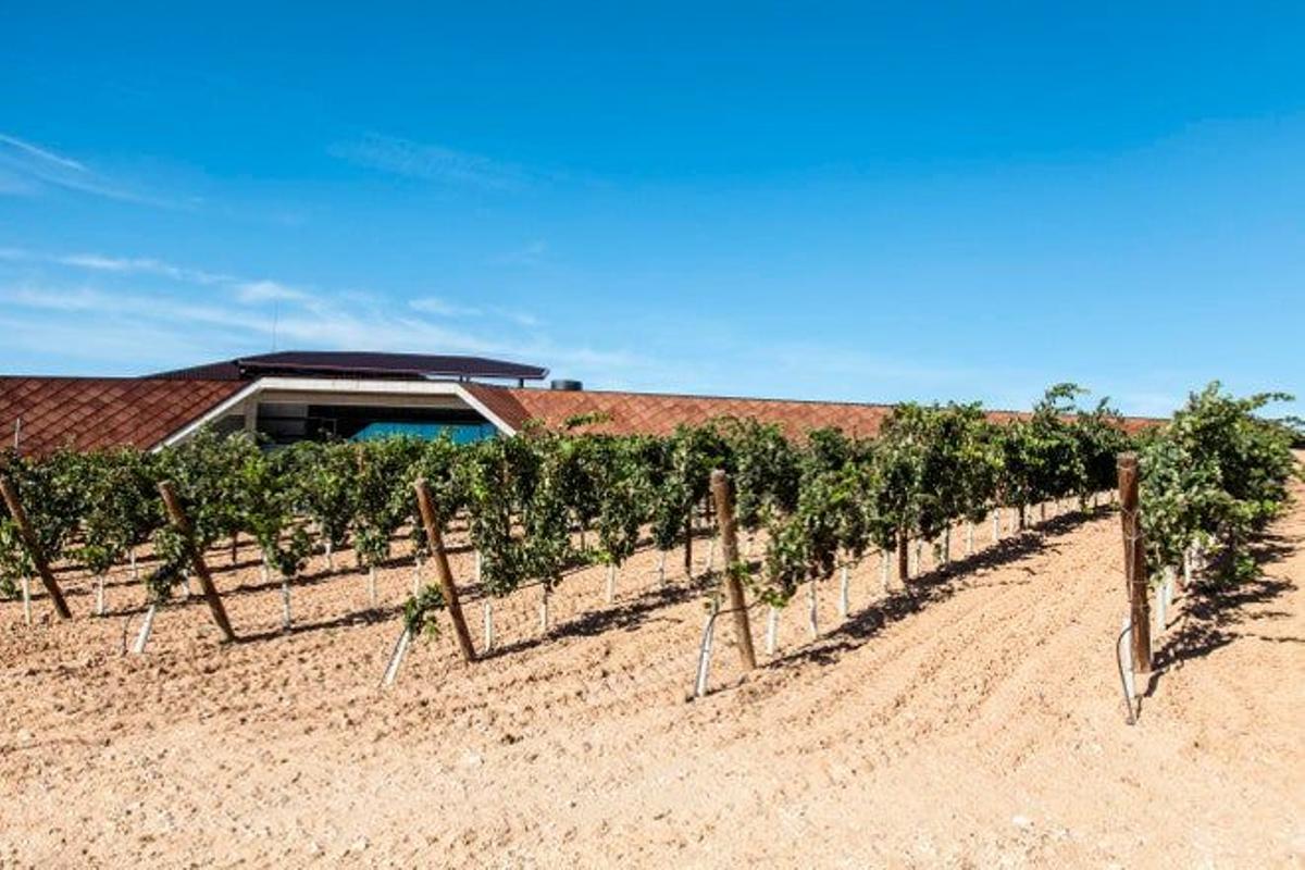 Ribera del Duero