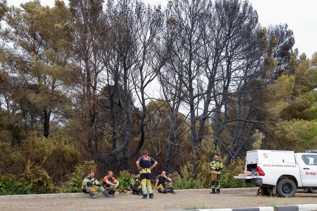 Las primeras imágenes del Saler tras el devastador incendio en la Devesa