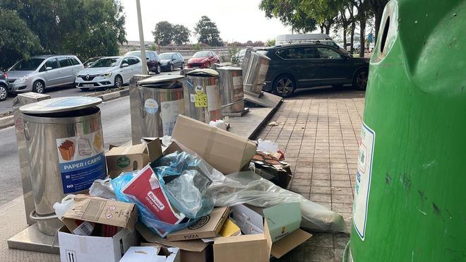 Los vecinos de Port Saplaya se quejan de la presencia de ratas por la acumulación de basura