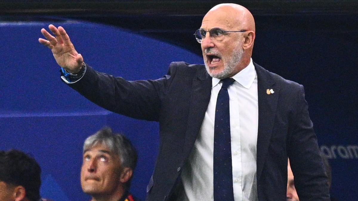 De la Fuente, durante la final entre España y Argentina