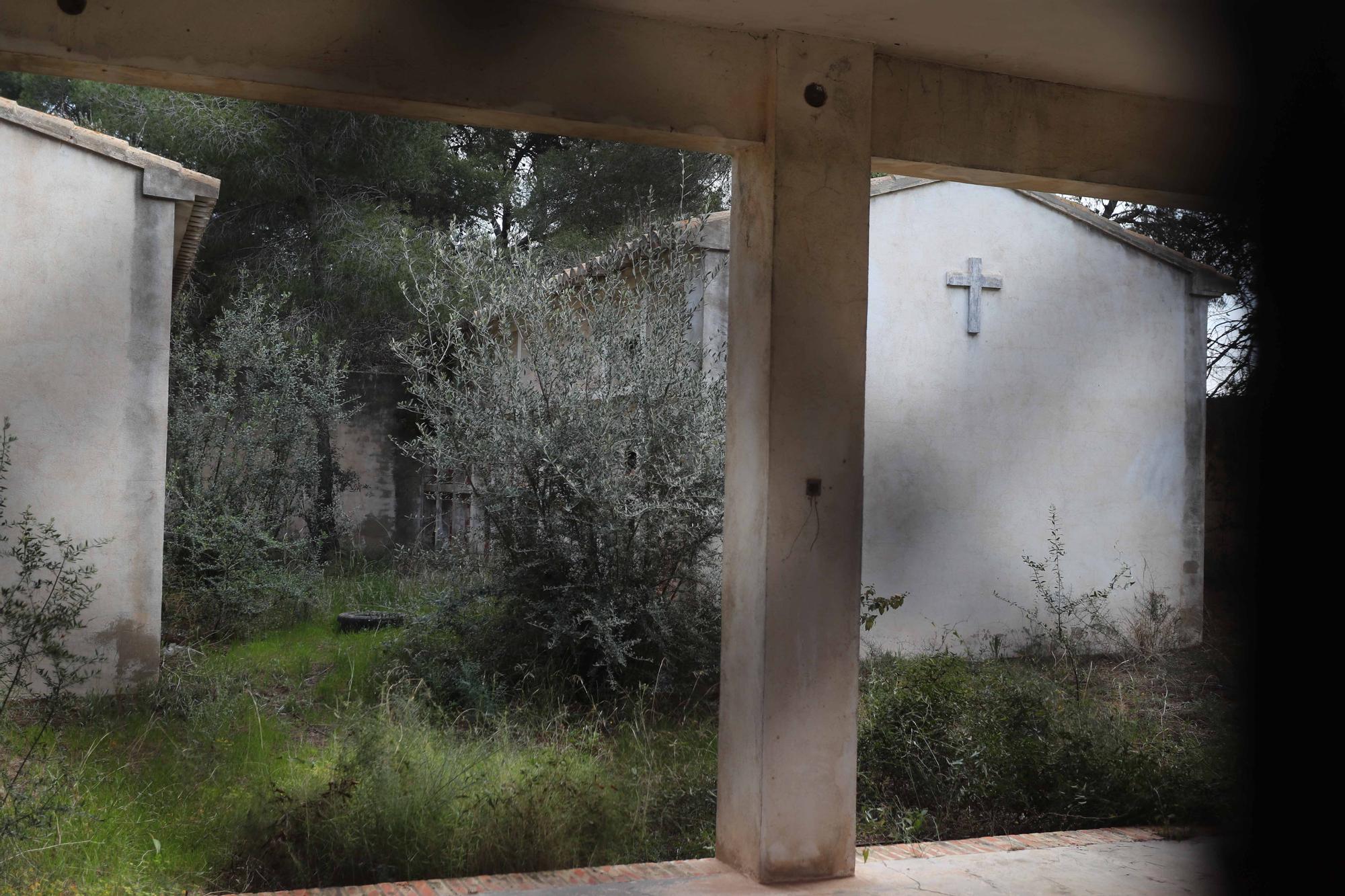 El cementerio abandonado de Moncada que te recordará a las películas de zombies